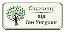 Саджанці від Іри Унгурян 