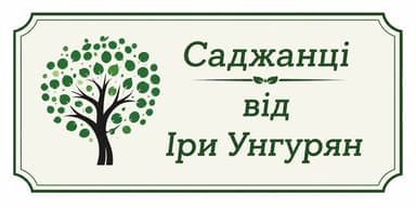 Саджанці від Іри Унгурян 